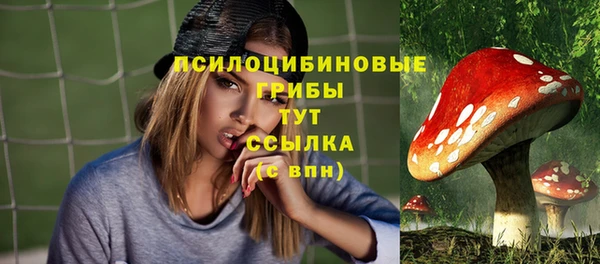 амф Алзамай