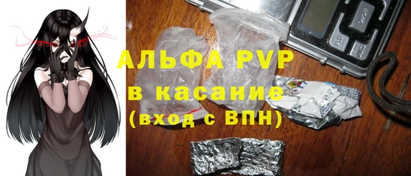 гидра Алексин