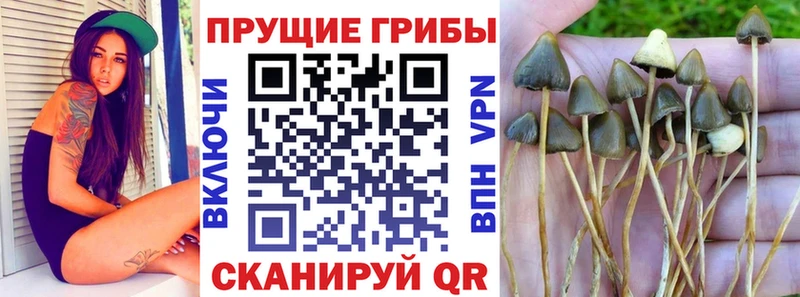 omg ТОР  Александровск-Сахалинский  Галлюциногенные грибы MAGIC MUSHROOMS 