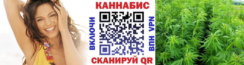 площадка официальный сайт  Александровск-Сахалинский  Конопля сатива 